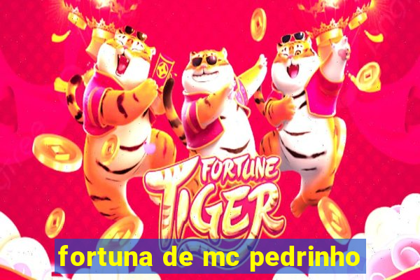 fortuna de mc pedrinho